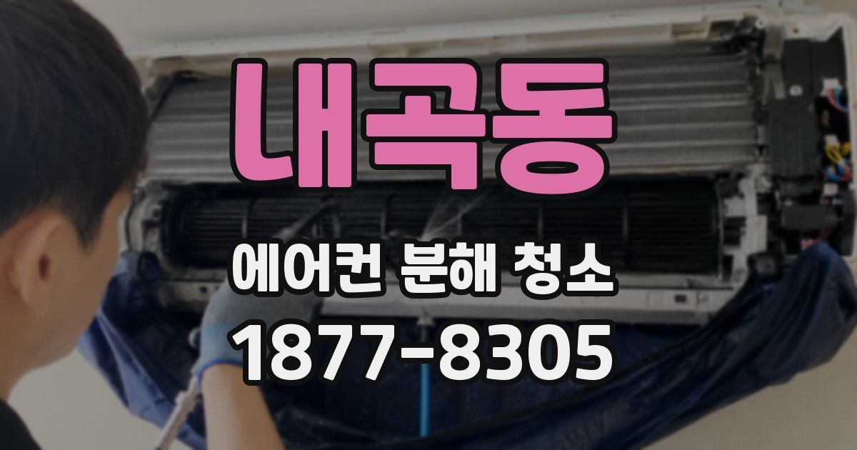 내곡동 에어컨 분해 청소