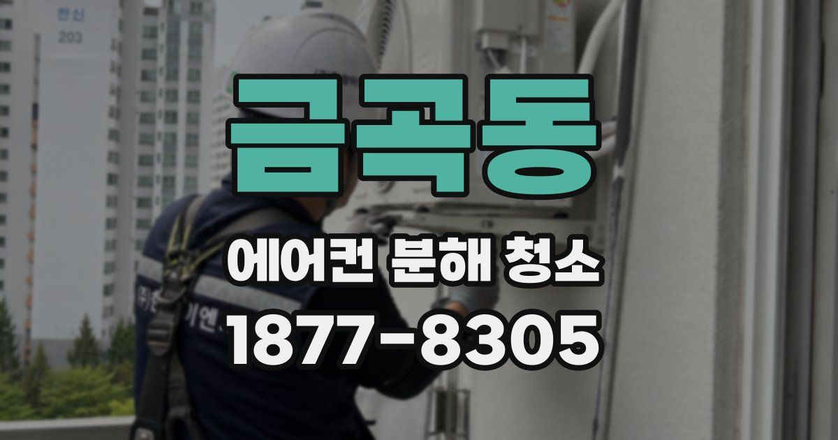 금곡동 에어컨 분해 청소