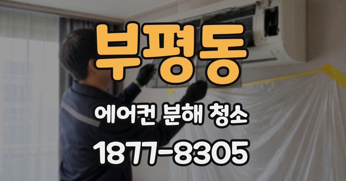부평동 에어컨 분해 청소