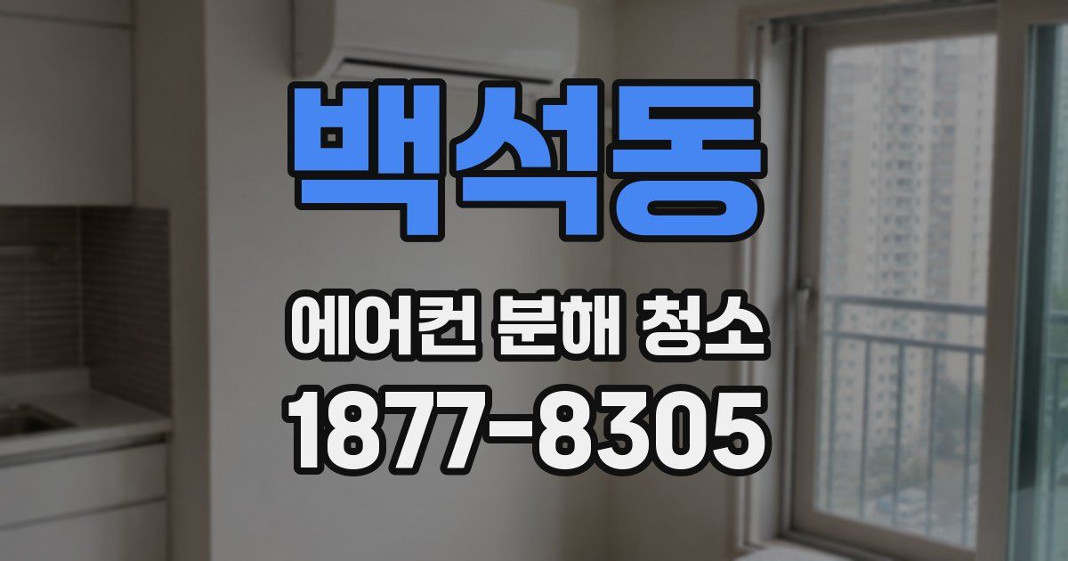 백석동 에어컨 분해 청소