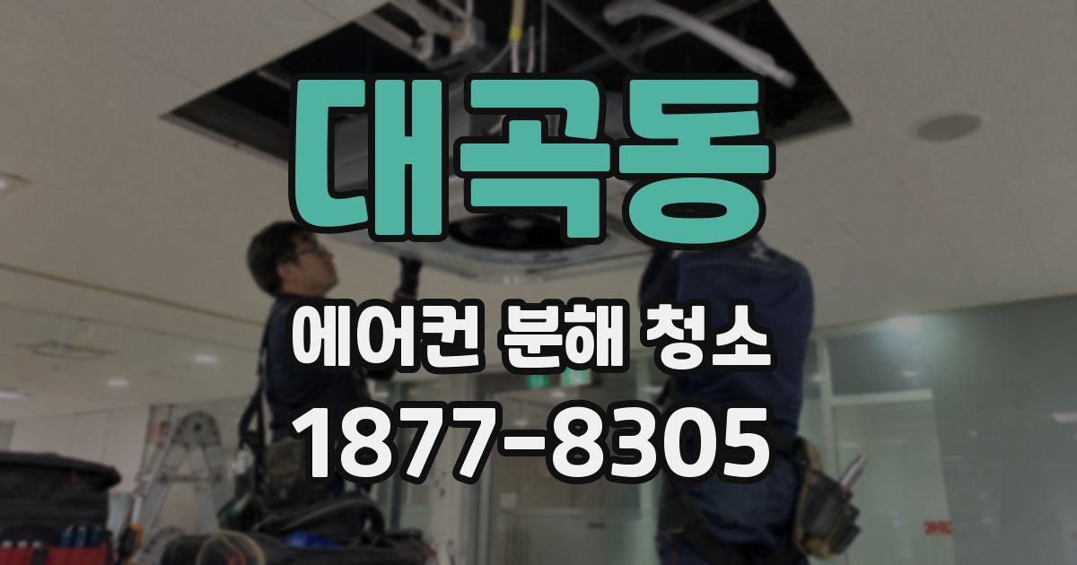 대곡동 에어컨 분해 청소