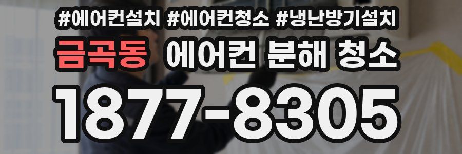 금곡동 에어컨 분해 청소