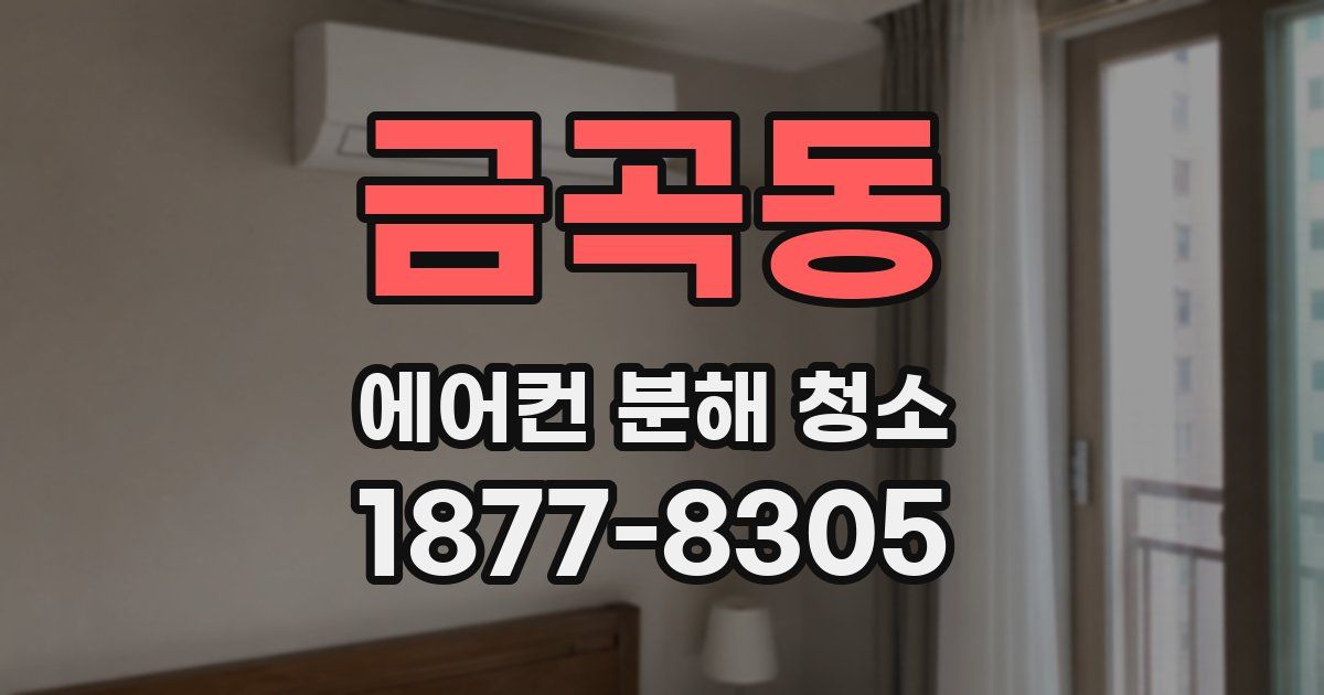 금곡동 에어컨 분해 청소