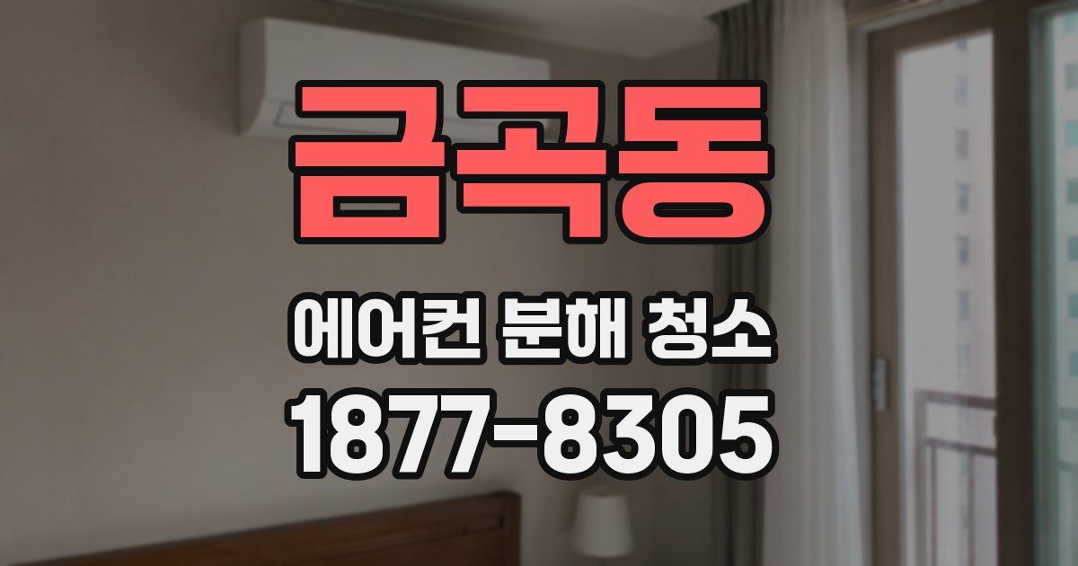 금곡동 에어컨 분해 청소