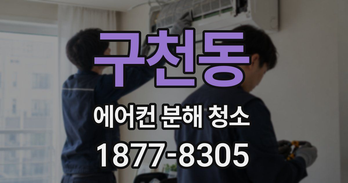 구천동 에어컨 분해 청소