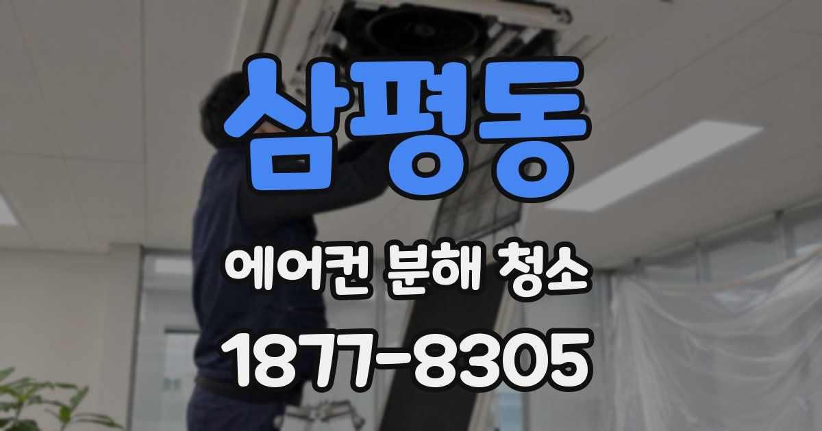 삼평동 에어컨 분해 청소