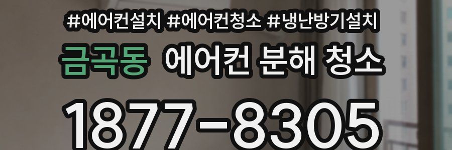 금곡동 에어컨 분해 청소