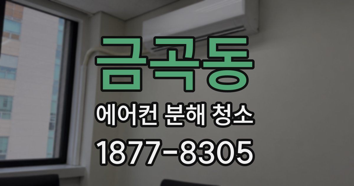 금곡동 에어컨 분해 청소