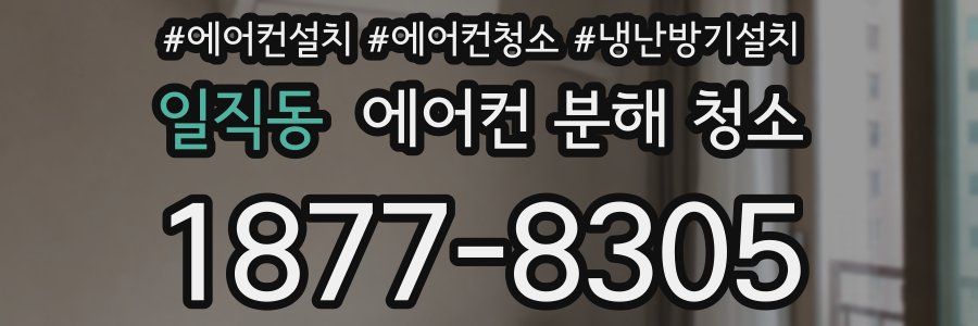 일직동 에어컨 분해 청소