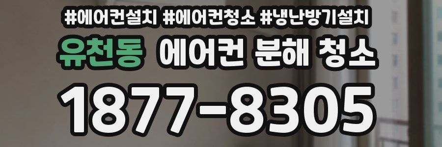 유천동 에어컨 분해 청소