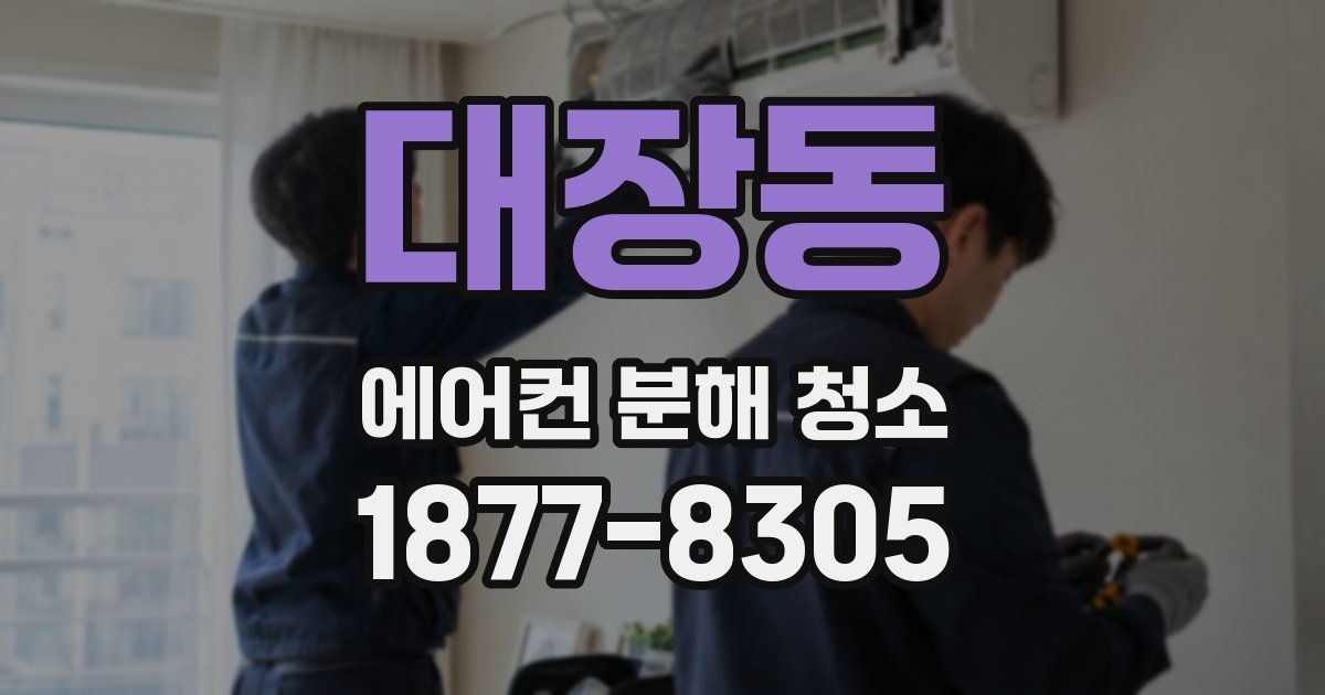 대장동 에어컨 분해 청소