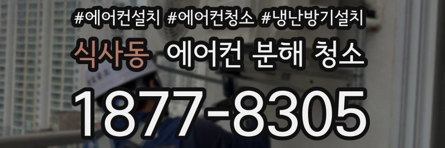 식사동 에어컨 분해 청소