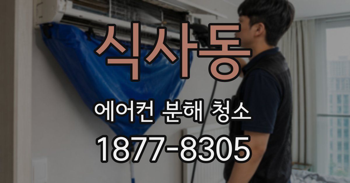 식사동 에어컨 분해 청소