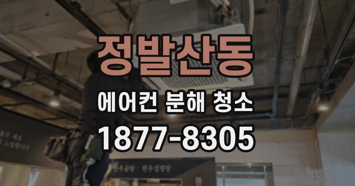 정발산동 에어컨 분해 청소