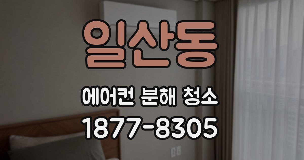 일산동 에어컨 분해 청소