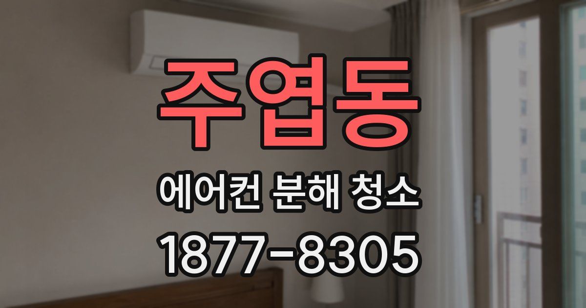 주엽동 에어컨 분해 청소