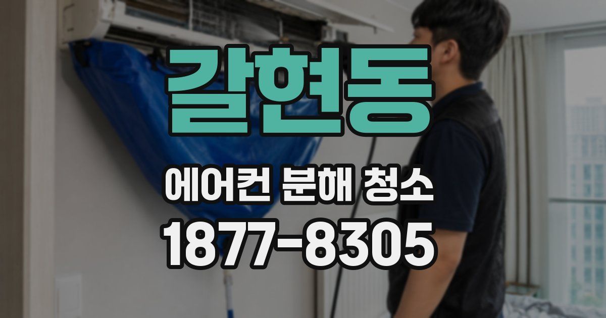 갈현동 에어컨 분해 청소