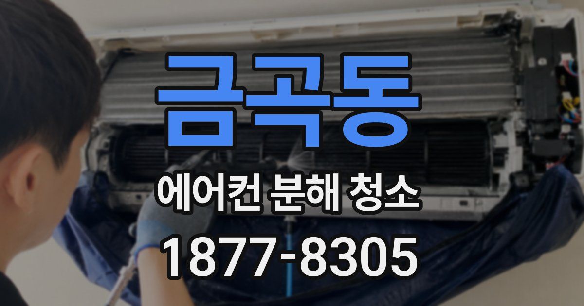 금곡동 에어컨 분해 청소