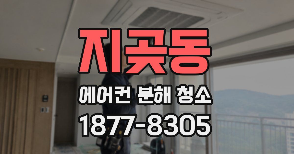 지곶동 에어컨 분해 청소