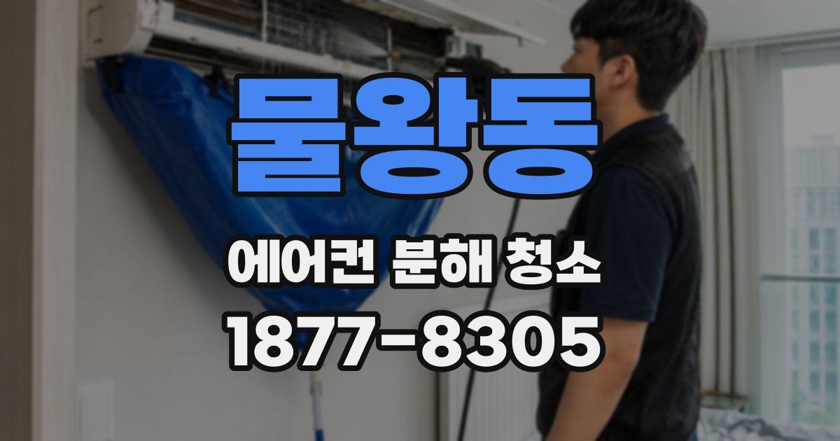 물왕동 에어컨 분해 청소