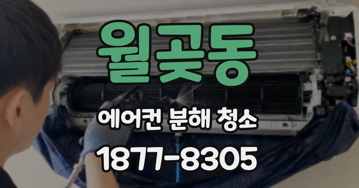 월곶동 에어컨 분해 청소