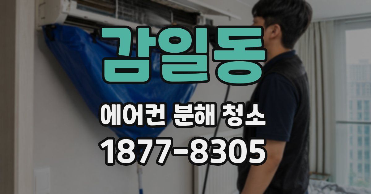 감일동 에어컨 분해 청소