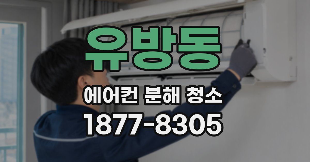 유방동 에어컨 분해 청소