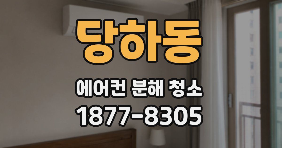 당하동 에어컨 분해 청소
