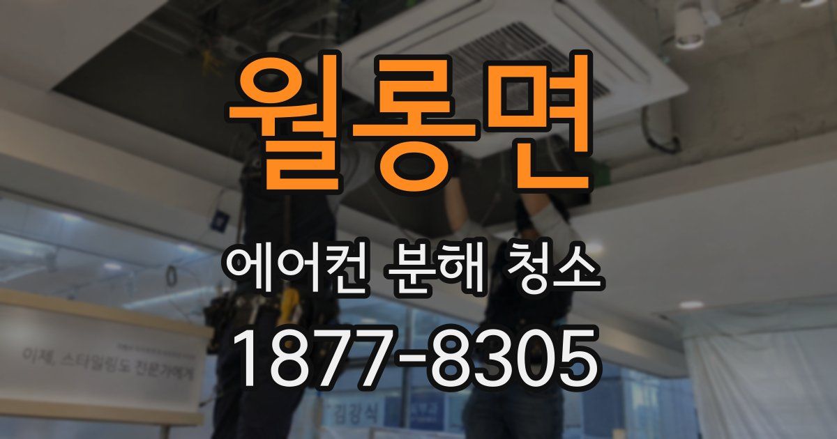 월롱면 에어컨 분해 청소