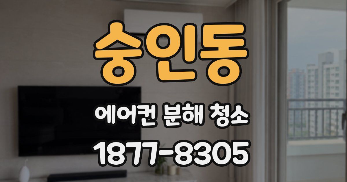 숭인동 에어컨 분해 청소