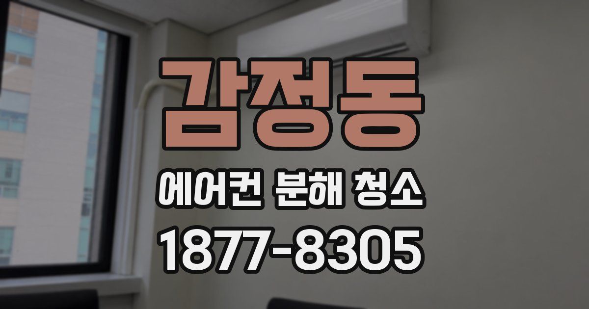 감정동 에어컨 분해 청소
