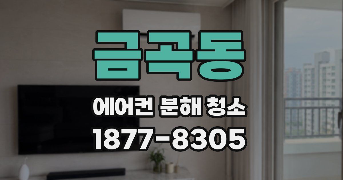 금곡동 에어컨 분해 청소