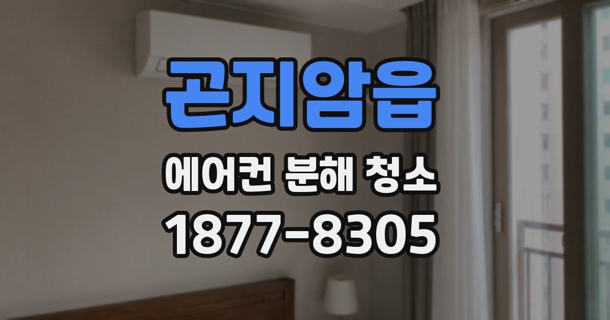 곤지암읍 에어컨 분해 청소