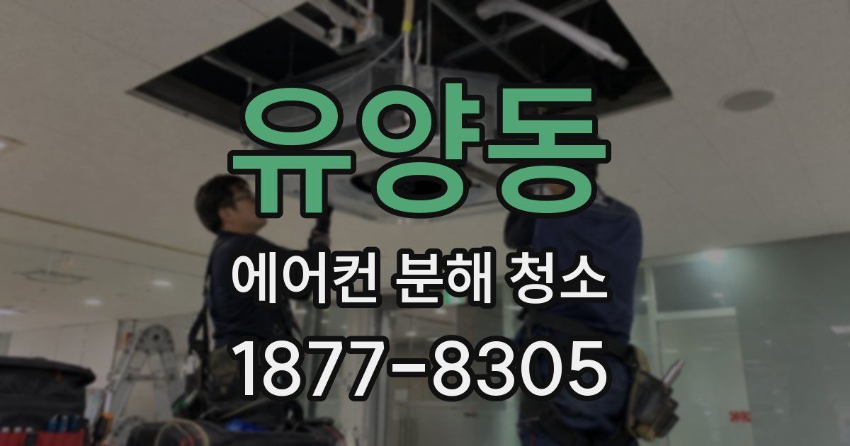 유양동 에어컨 분해 청소