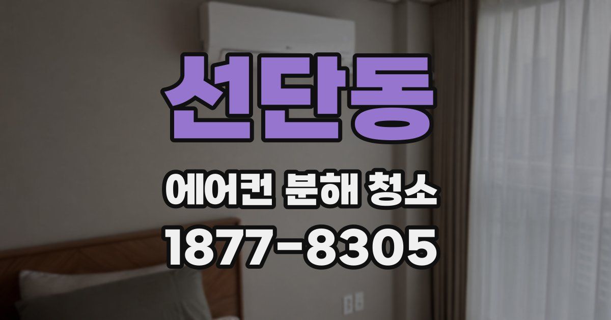 선단동 에어컨 분해 청소