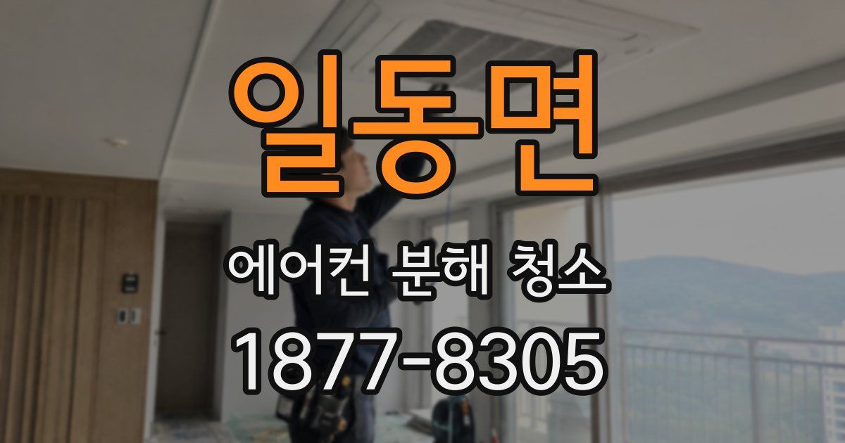 일동면 에어컨 분해 청소