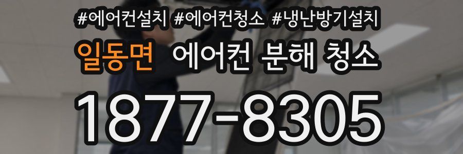 일동면 에어컨 분해 청소
