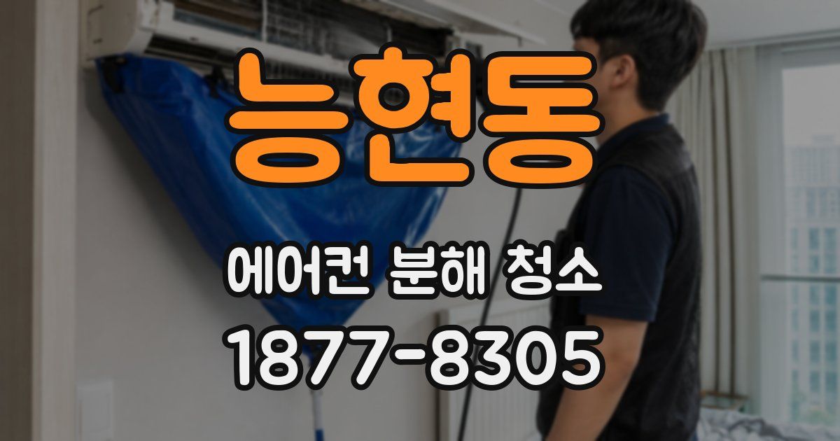 능현동 에어컨 분해 청소
