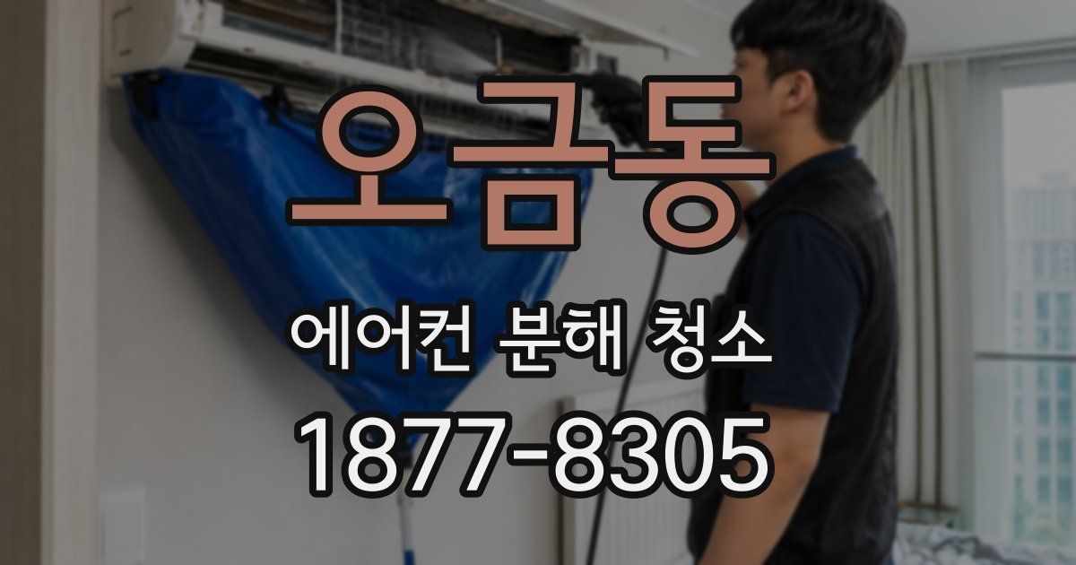 오금동 에어컨 분해 청소