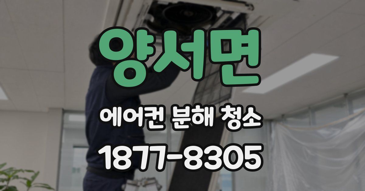 양서면 에어컨 분해 청소