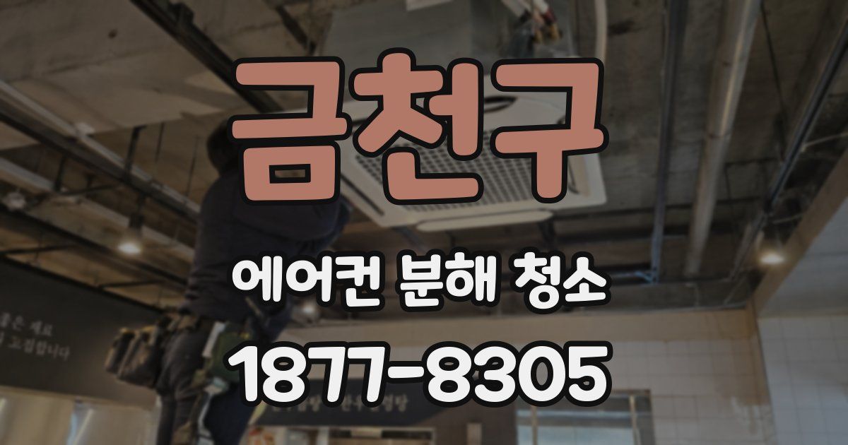 금천구 에어컨 분해 청소