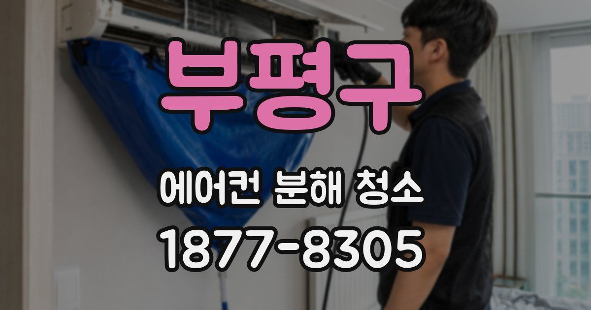 부평구 에어컨 분해 청소