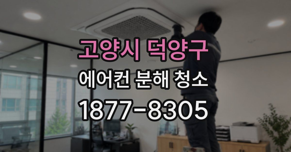 고양시 덕양구 에어컨 분해 청소