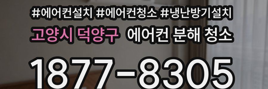 고양시 덕양구 에어컨 분해 청소