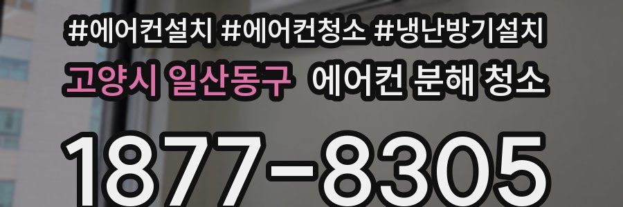 고양시 일산동구 에어컨 분해 청소