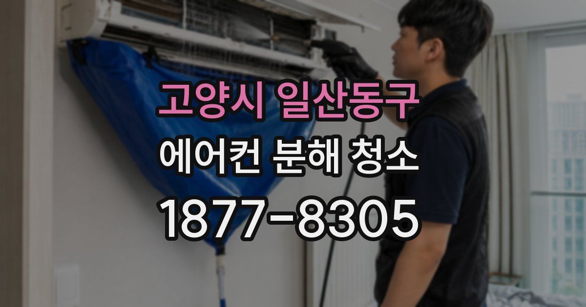 고양시 일산동구 에어컨 분해 청소