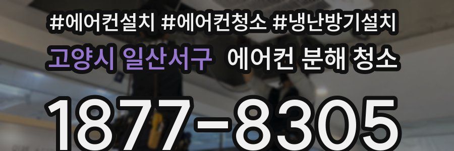 고양시 일산서구 에어컨 분해 청소
