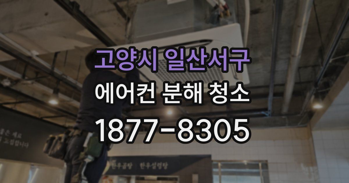 고양시 일산서구 에어컨 분해 청소
