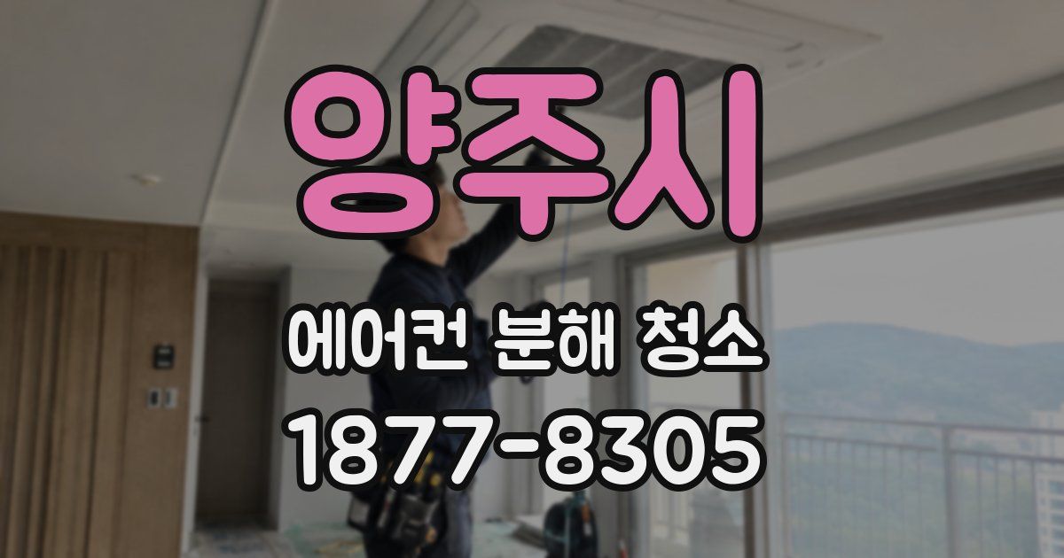 양주시 에어컨 분해 청소