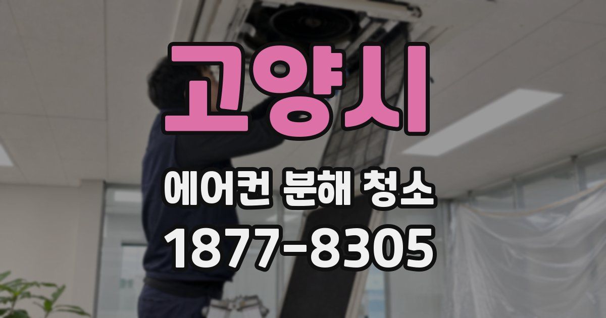 고양시 에어컨 분해 청소
